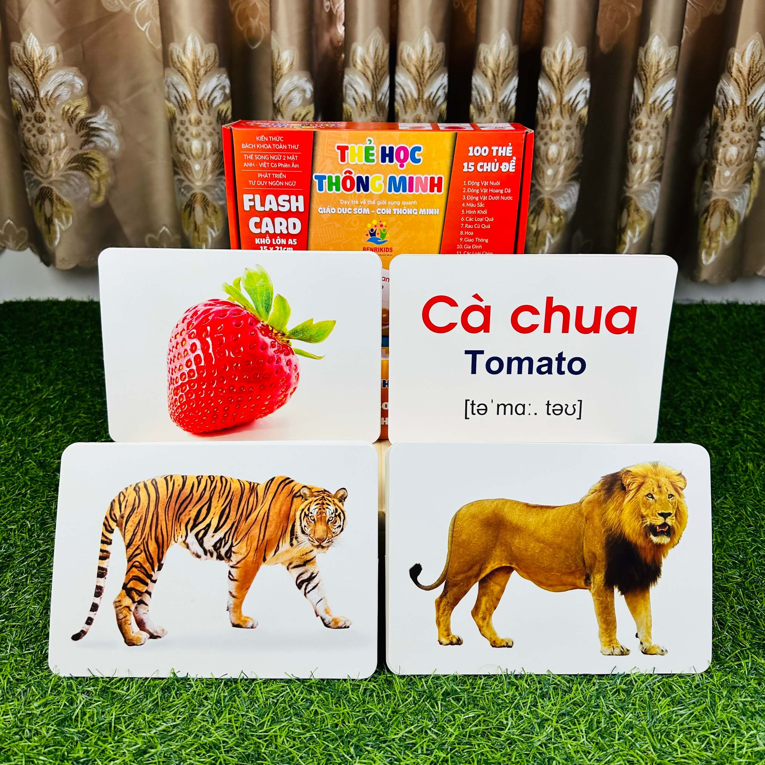 Bộ Thẻ Học Thông Minh 15 Chủ Đề Loại To Song Ngữ Anh - Việt Glenn Doman Flashcard Cho Bé Từ 0-6 Tuổi