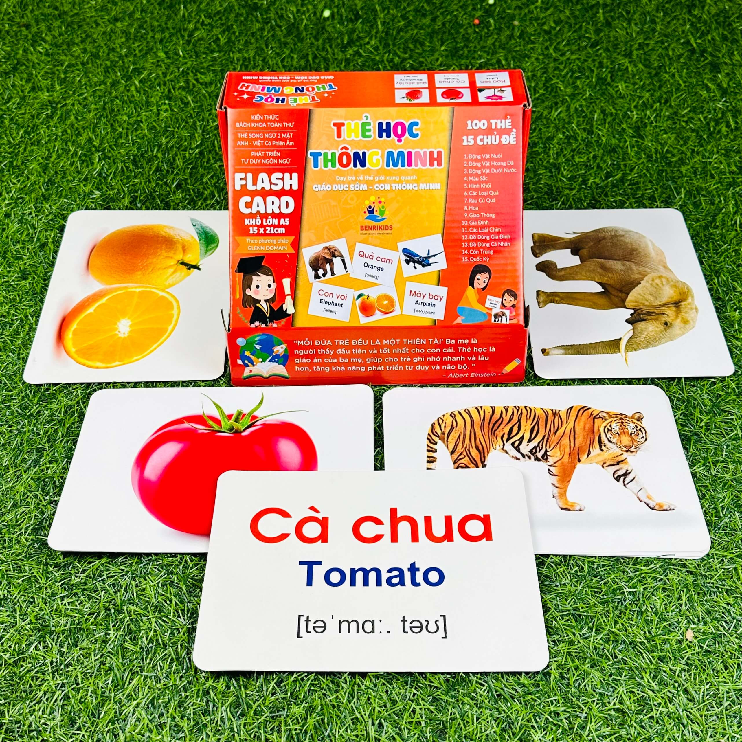 Thẻ Flashcard: Công Cụ Học Tập Hiệu Quả và Hướng Dẫn Chi Tiết