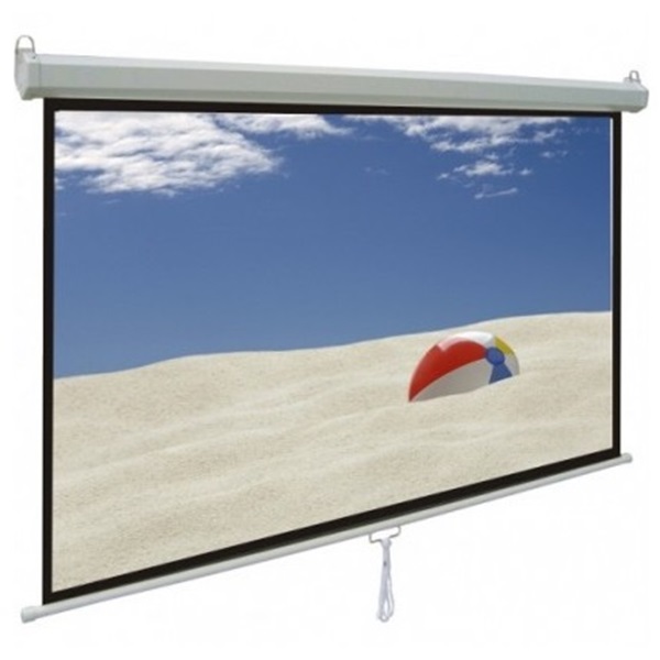 MÀN CHIẾU TREO TƯỜNG DALITE P50WS 70 INCH (1m25 x 1m25)