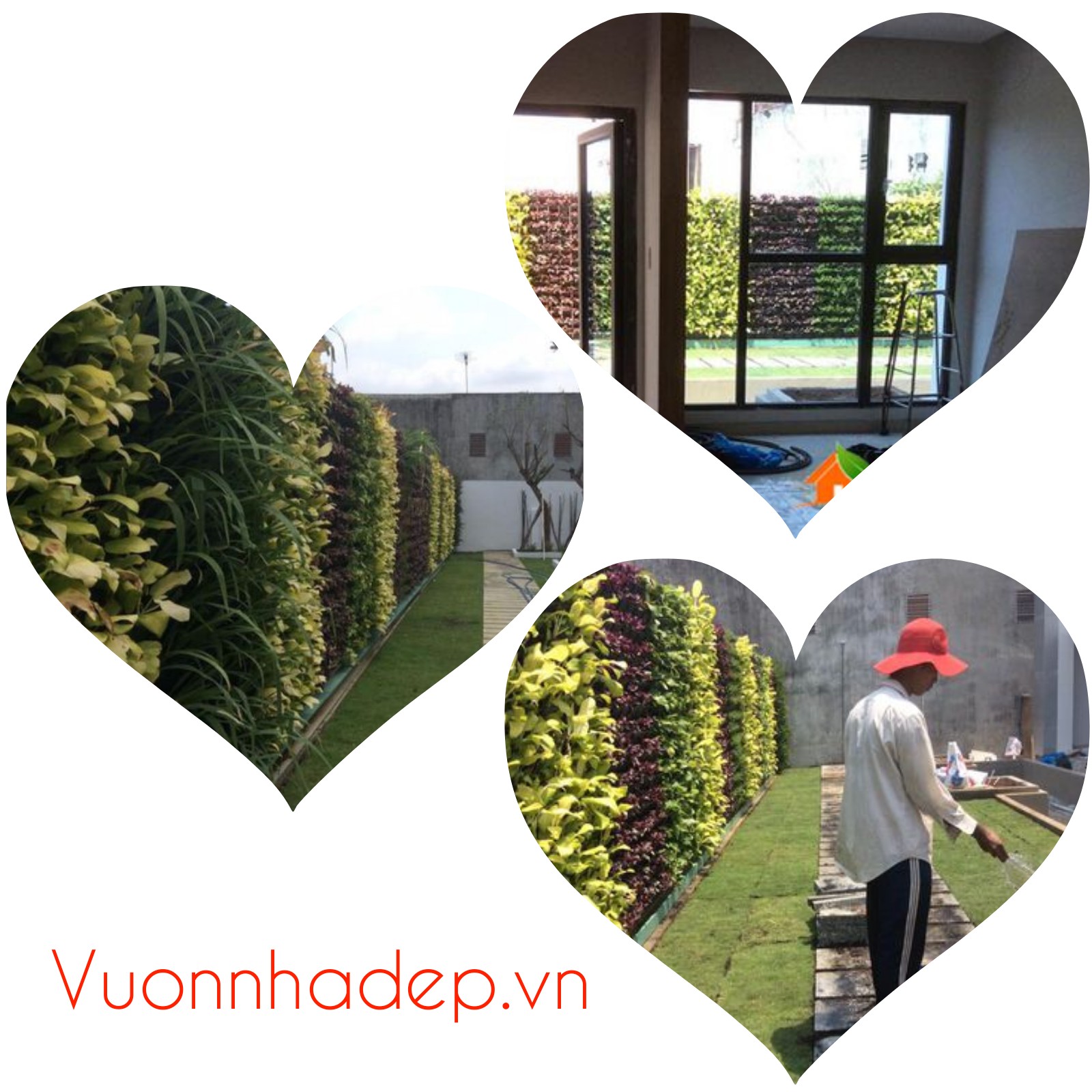 HÌnh ảnh tường cây xanh đẹp