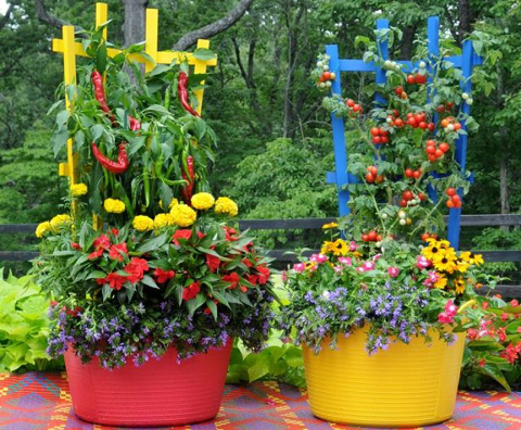 15 ý tưởng tạo khung cảnh tuyệt vời cho vườn rau của bạn