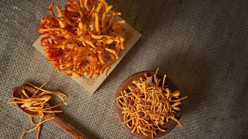 CÁCH DÙNG ĐÔNG TRÙNG HẠ THẢO ĐỂ CÓ CÔNG DỤNG TỐT NHẤT