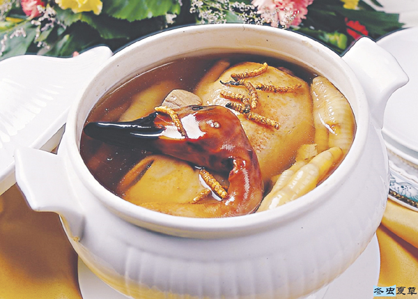 ĐÔNG TRÙNG HẠ THẢO VÀ RỐI LOẠN TÌNH DỤC