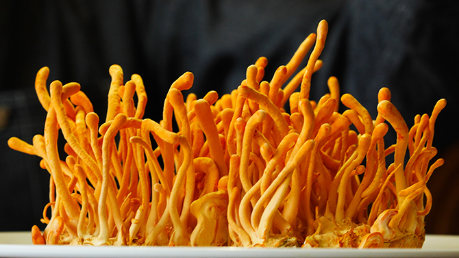 9 LOẠI THỰC PHẨM GIÚP CẢI THIỆN VÀ TĂNG CƯỜNG TRÍ NHỚ