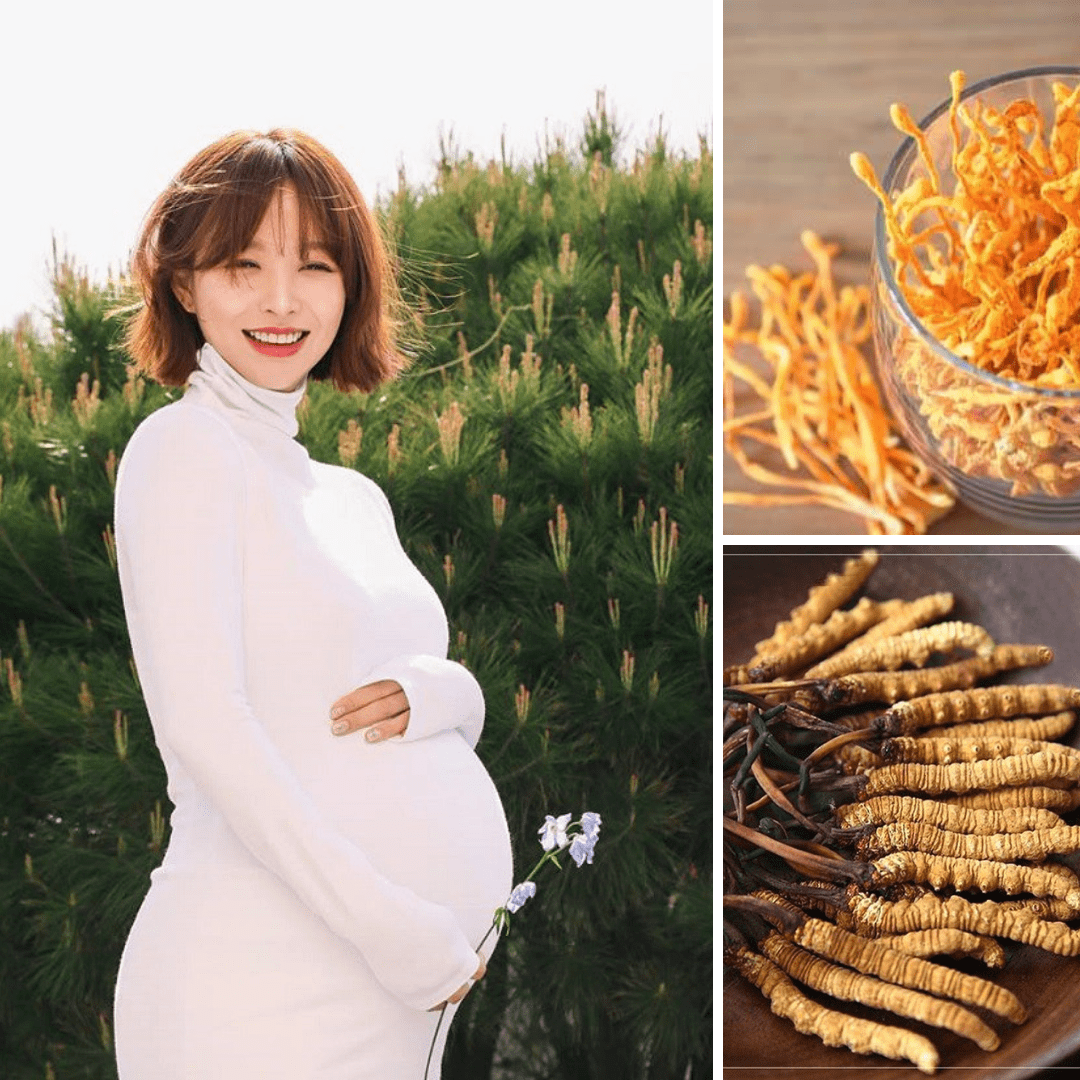 TÁC DỤNG TUYỆT VỜI CỦA ĐÔNG TRÙNG HẠ THẢO CHO BÀ BẦU