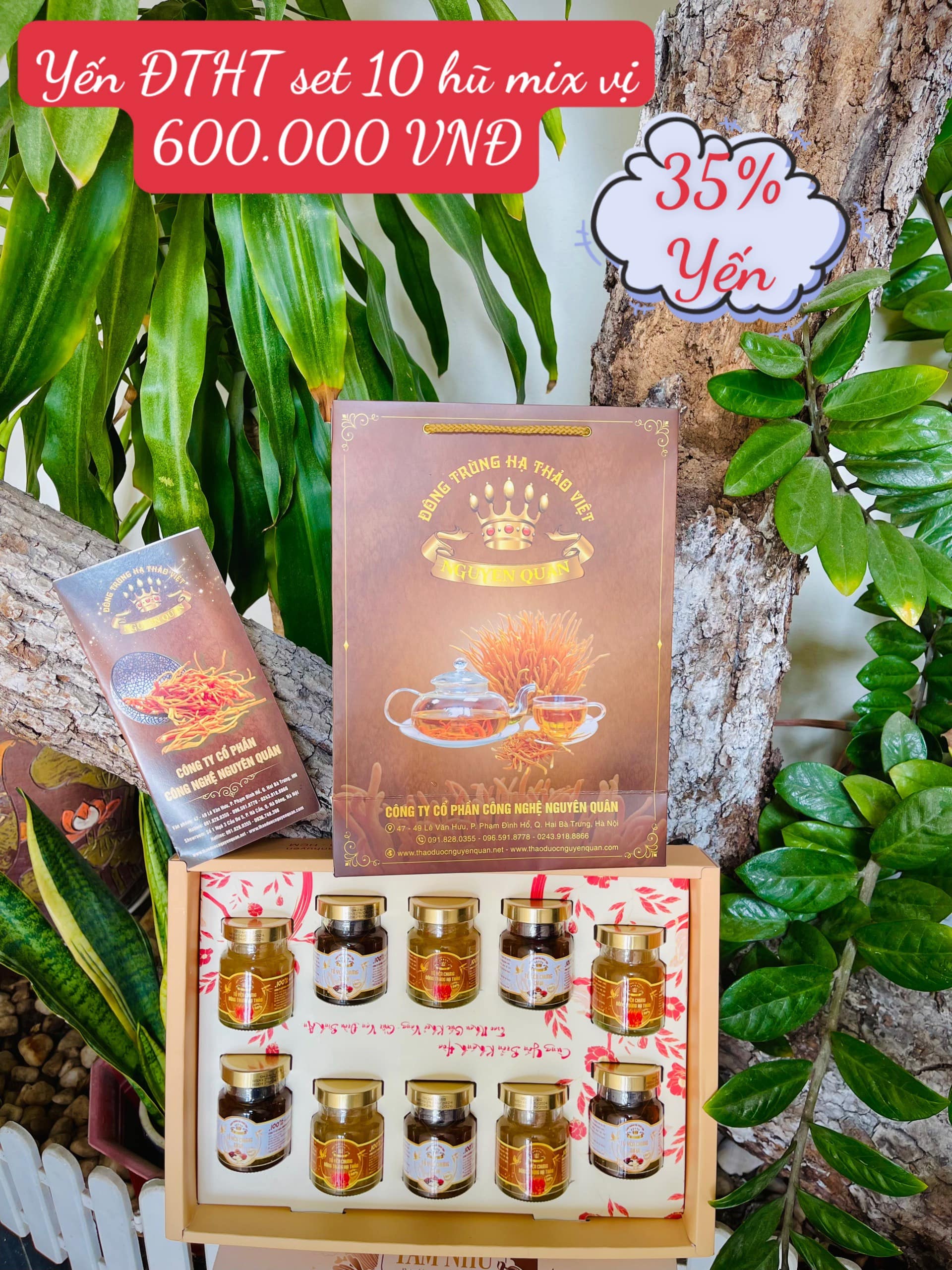 SET 10 HŨ YẾN CHƯNG ĐÔNG TRÙNG HẠ THẢO VÀ TỨ VỊ 70ML