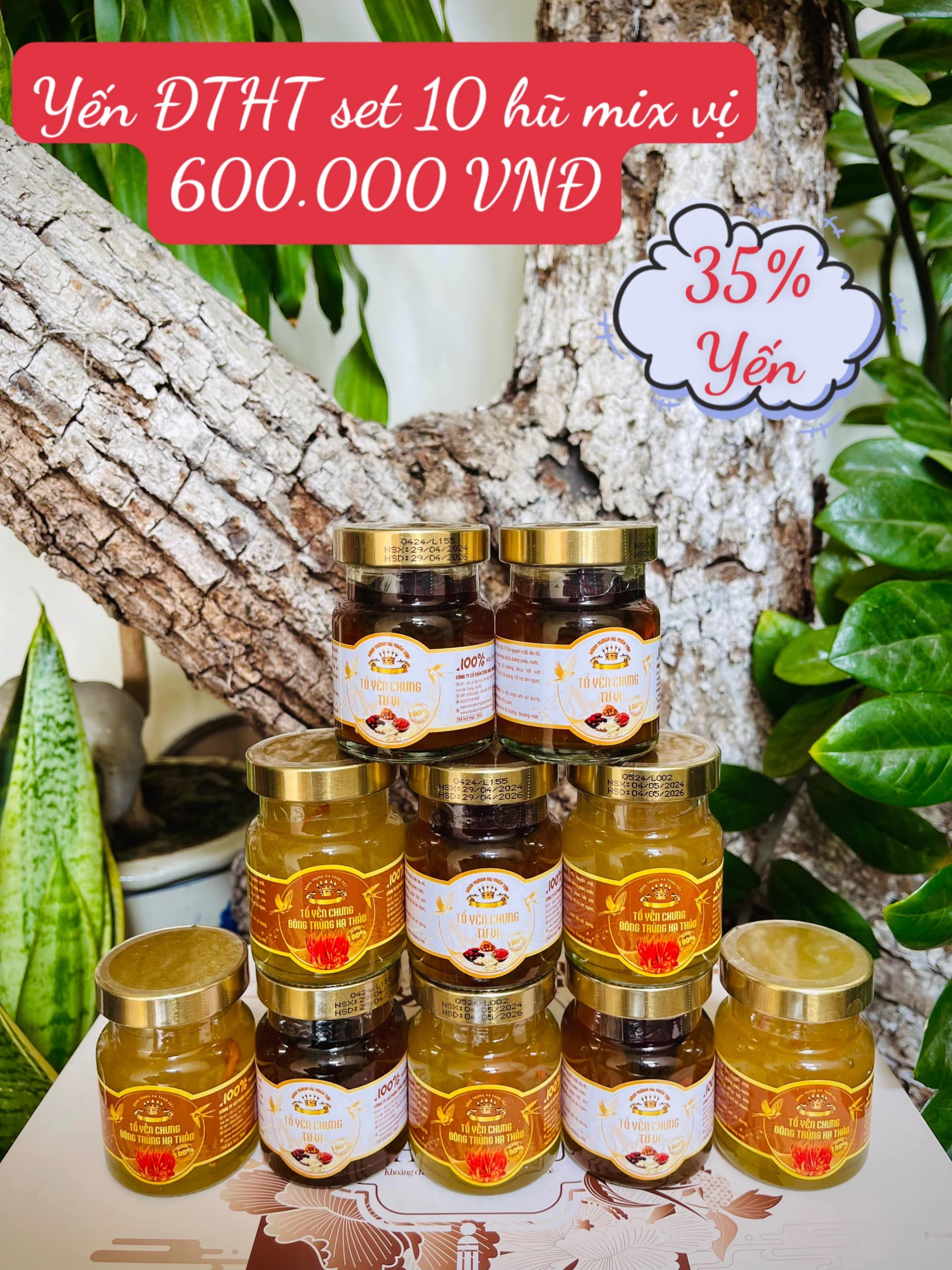 SET 10 HŨ YẾN CHƯNG ĐÔNG TRÙNG HẠ THẢO VÀ TỨ VỊ 70ML