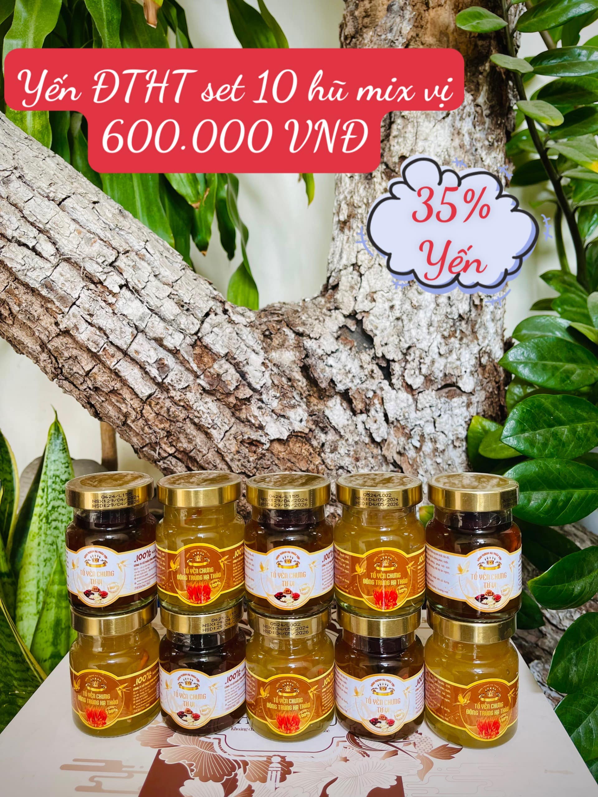 SET 10 HŨ YẾN CHƯNG ĐÔNG TRÙNG HẠ THẢO VÀ TỨ VỊ 70ML