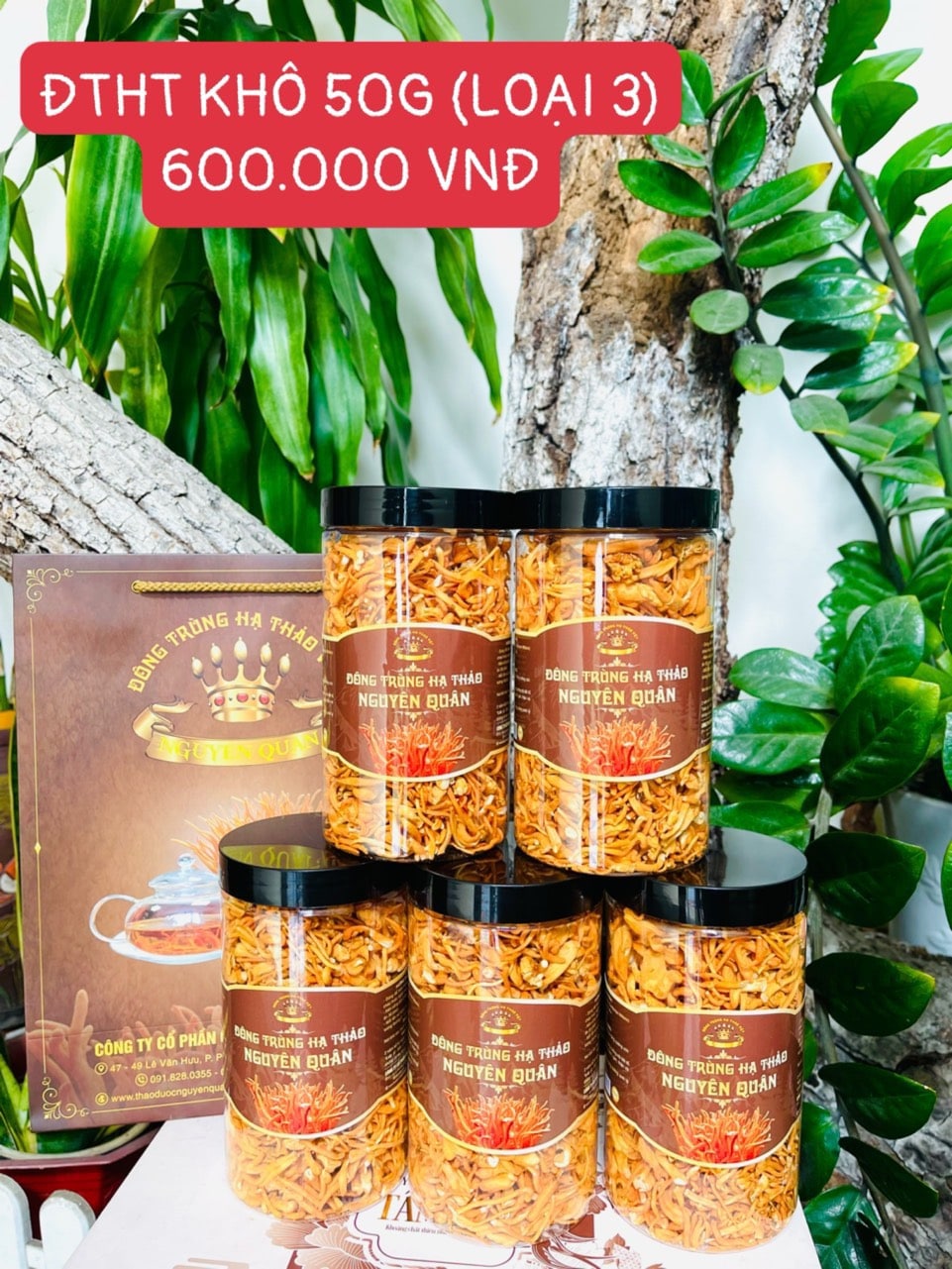 Đông trùng hạ thảo khô 50g (Bào tử)