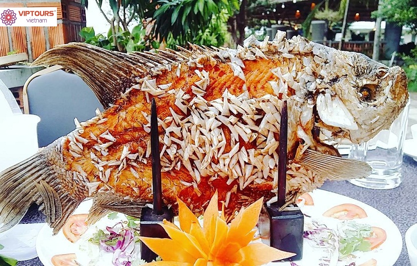CÁ TAI TƯỢNG CHIÊN XÙ