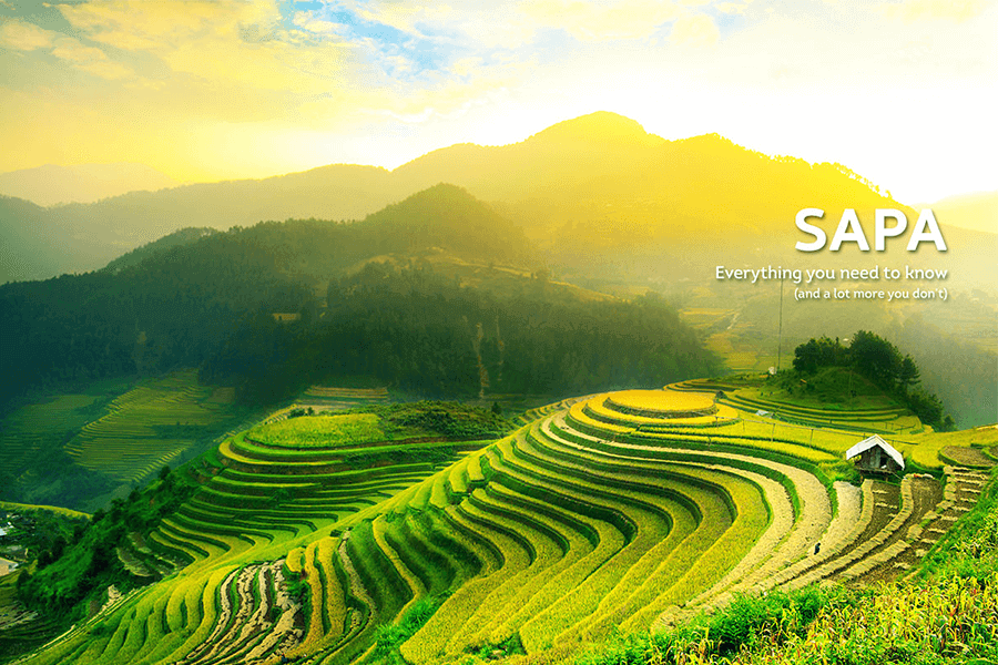Kinh nghiệm du lịch bụi Sapa ai cũng phải nhớ để có chuyến đi vui vẻ