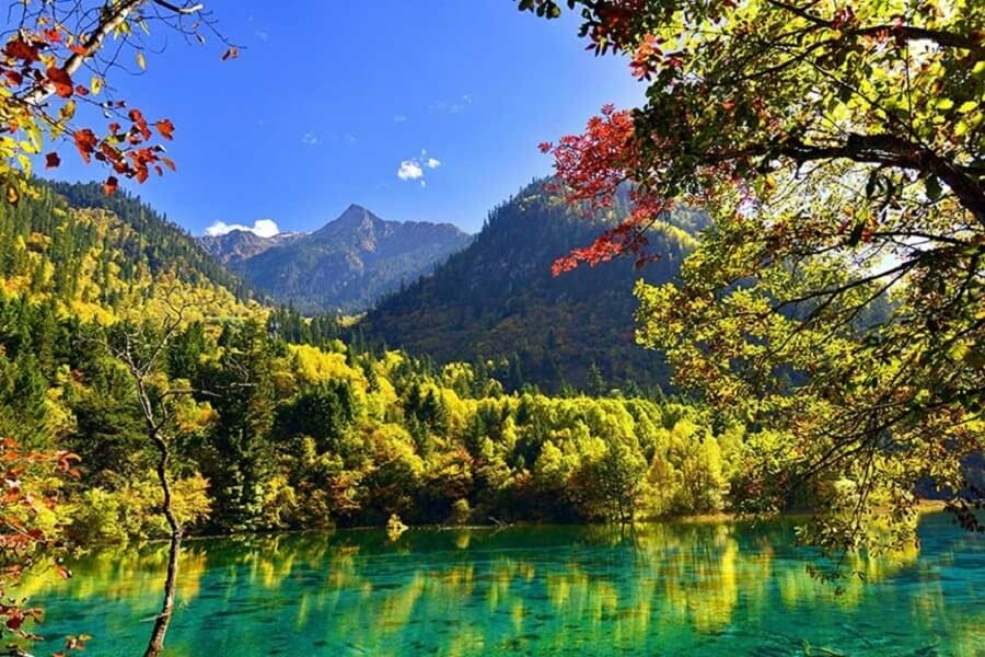 Du lịch một mình - Trải nghiệm thú vị một lần trong đời nhất định phải đi