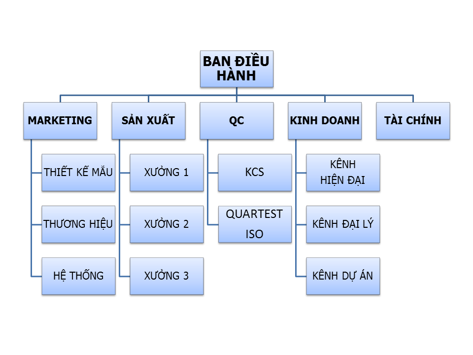 5 Loại Cơ Cấu Tổ Chức Chính Trong Một Doanh Nghiệp