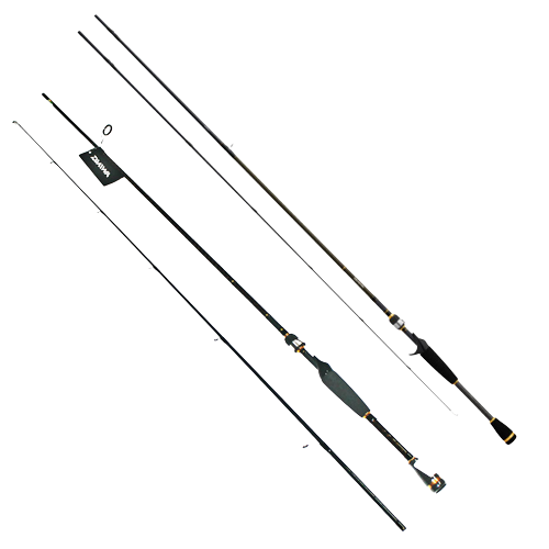 Cần câu cá Daiwa AIRD X MFS