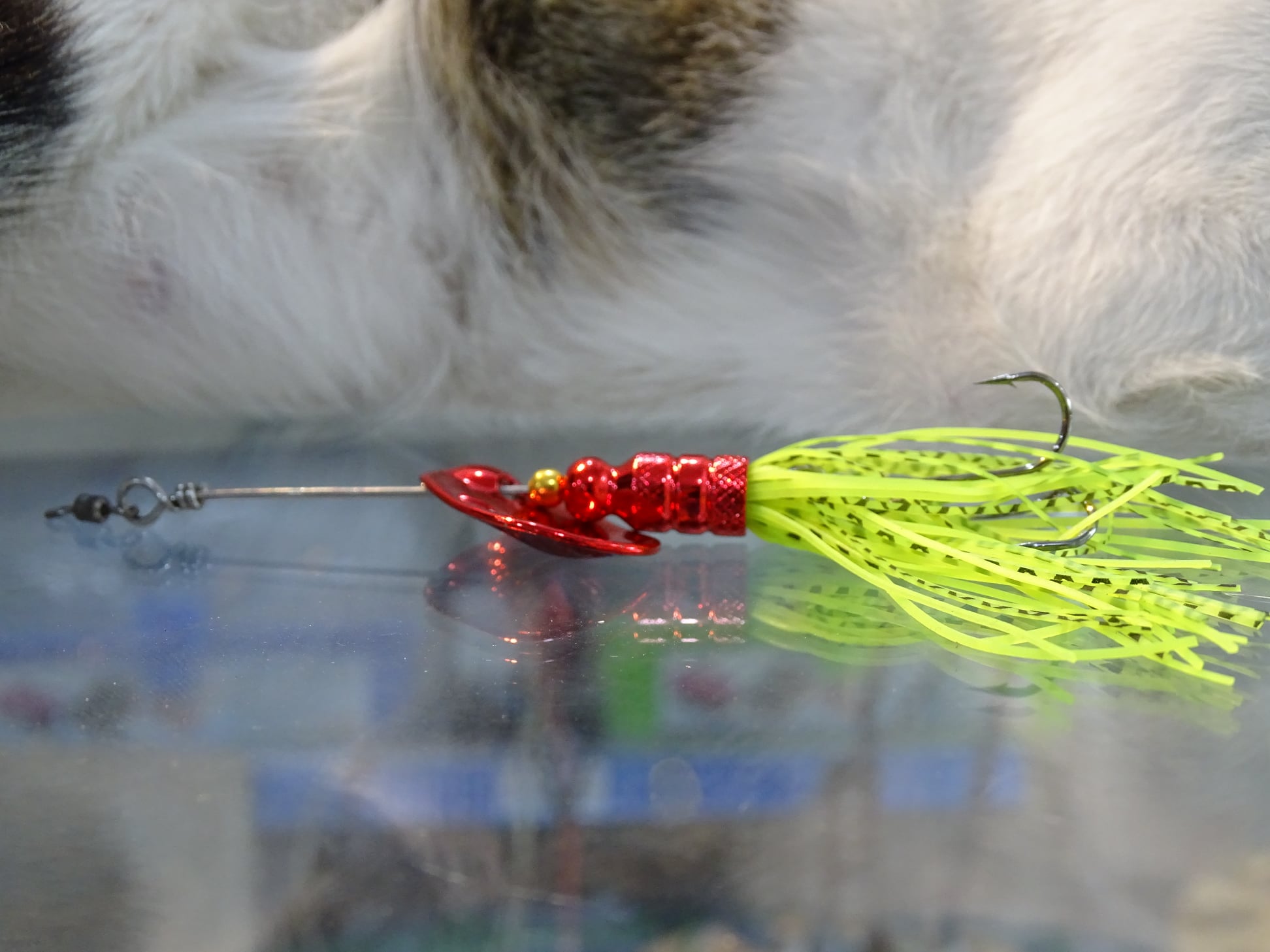 Spiner tầng lững