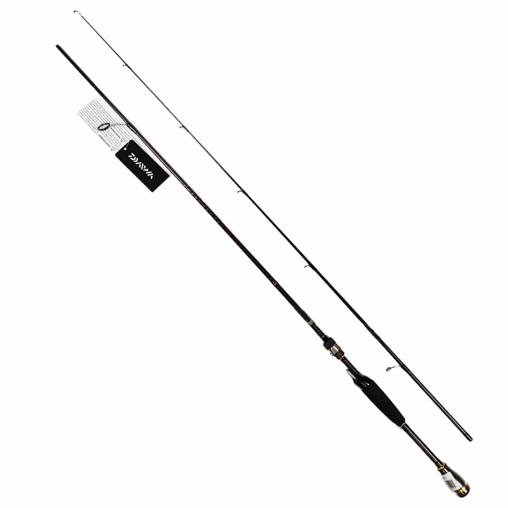 Cần câu cá Daiwa AIRD X MFS