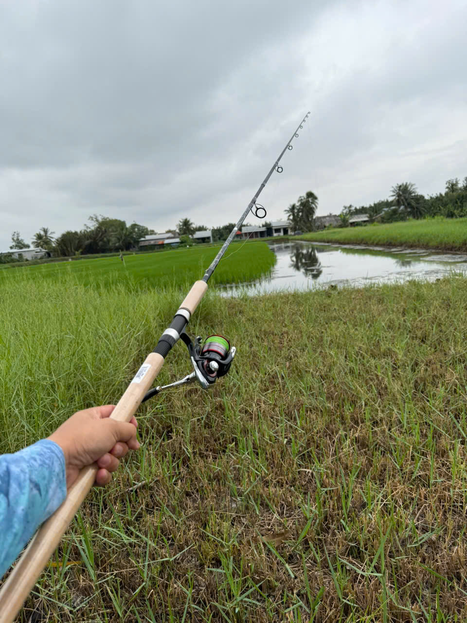 Cần Câu Lure  Abu Garcia Revenge