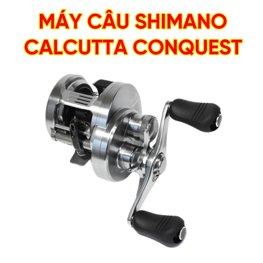 Máy câu cá SHIMANO CALCUTTA CONQUEST hàng cao cấp Nhật Bản