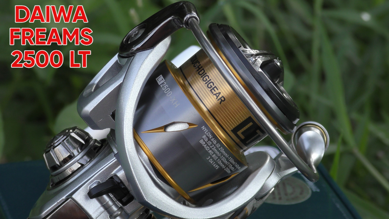 Máy câu Daiwa Freams 2500LT