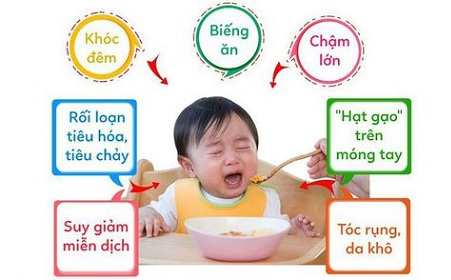 KHI NÀO CẦN BỔ SUNG KẼM CHO TRẺ ?