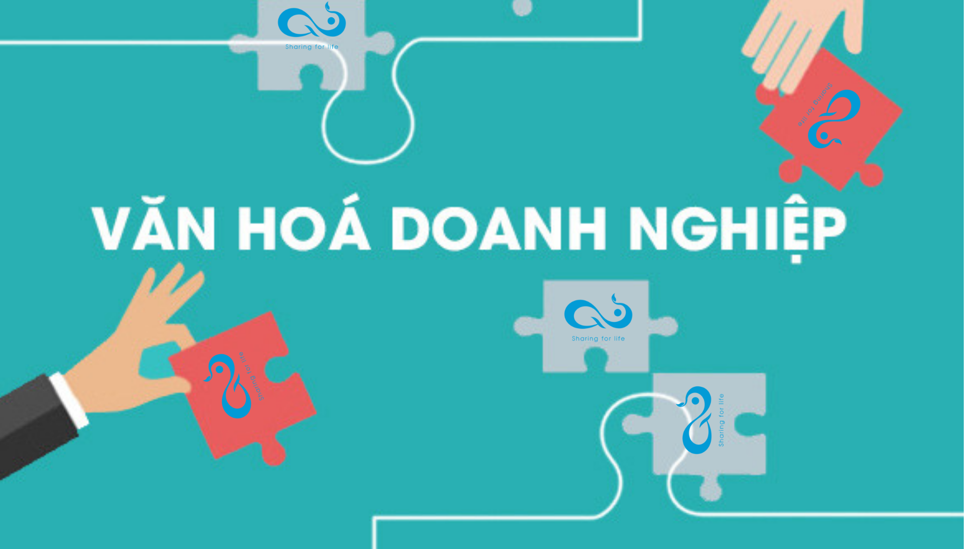 VĂN HÓA DOANH NGHIỆP