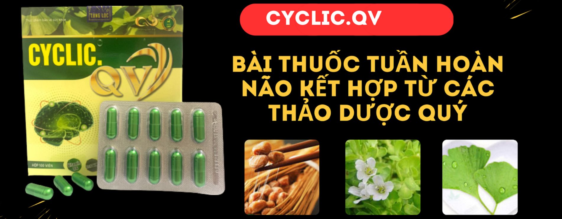 Công Ty CPTM Q&V Việt Nam