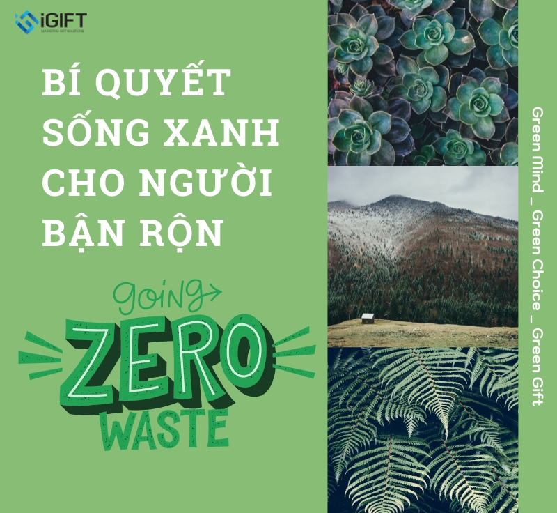Bí Quyết Sống Xanh Cho Người Bận Rộn