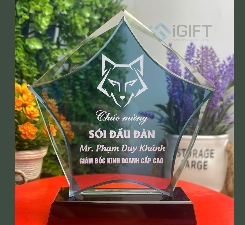 Sản xuất Kỷ niệm chương cá nhân hóa theo yêu cầu tại Hà Nội và HCM 5 Sản xuất Kỷ niệm chương cá nhân hóa theo yêu cầu tại Hà Nội và HCM Quà tặng công nghệ doanh nghiệp