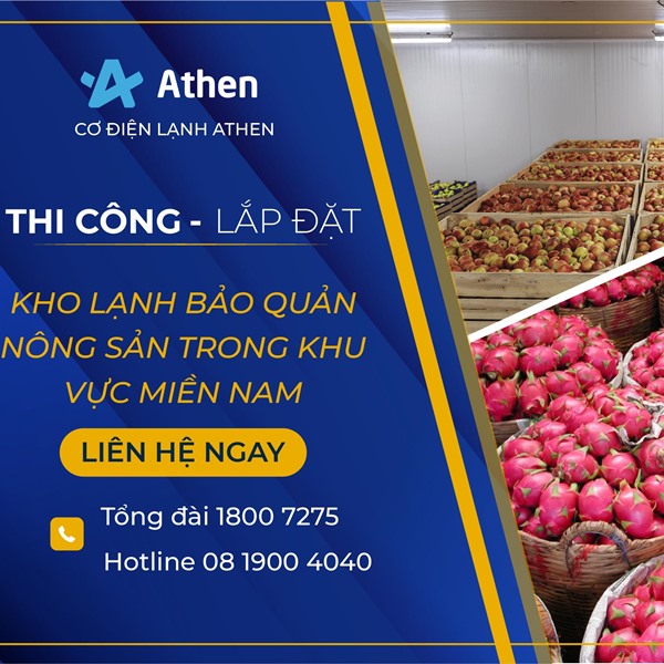 Lắp đặt kho lạnh bảo quản nông sản