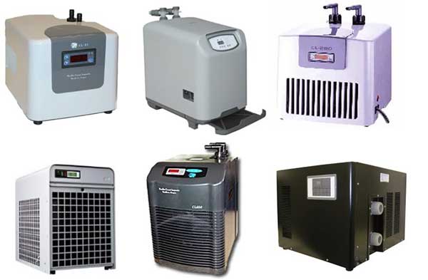 Athen cung cấp hệ thống làm lạnh chiller cho bể thủy sinh