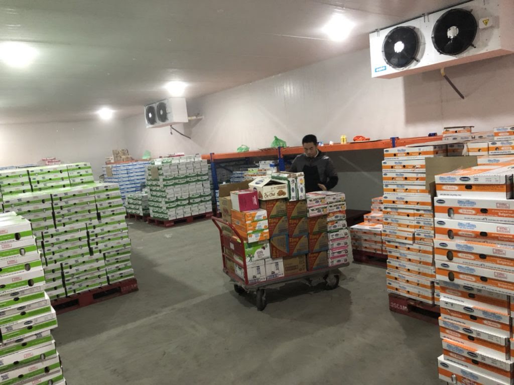 Lắp đặt kho lạnh thực phẩm tiêu chuẩn như thế nào?