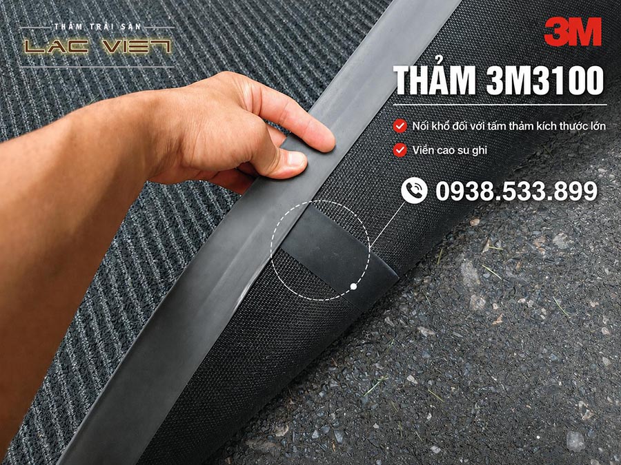 3M3100-chinh-hang