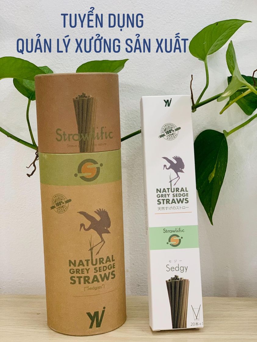 Quản Lý Sản Xuất (Long An)