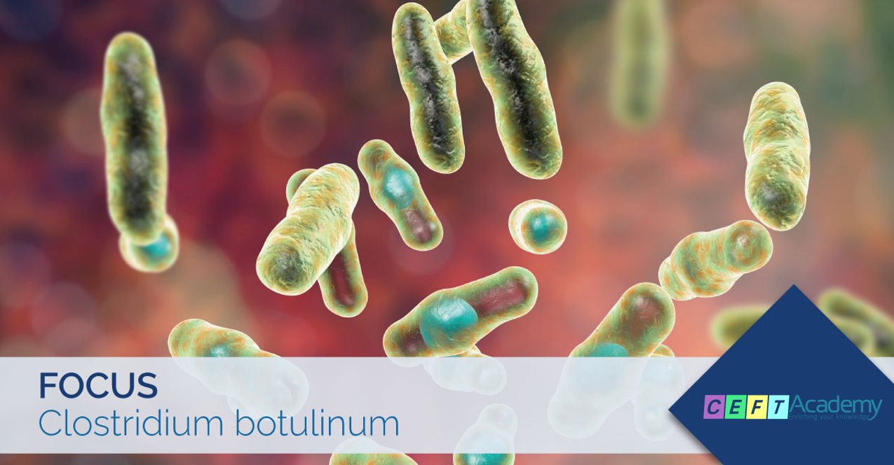 Vi khuẩn Clostridium botulinum & Độc tố botulinum