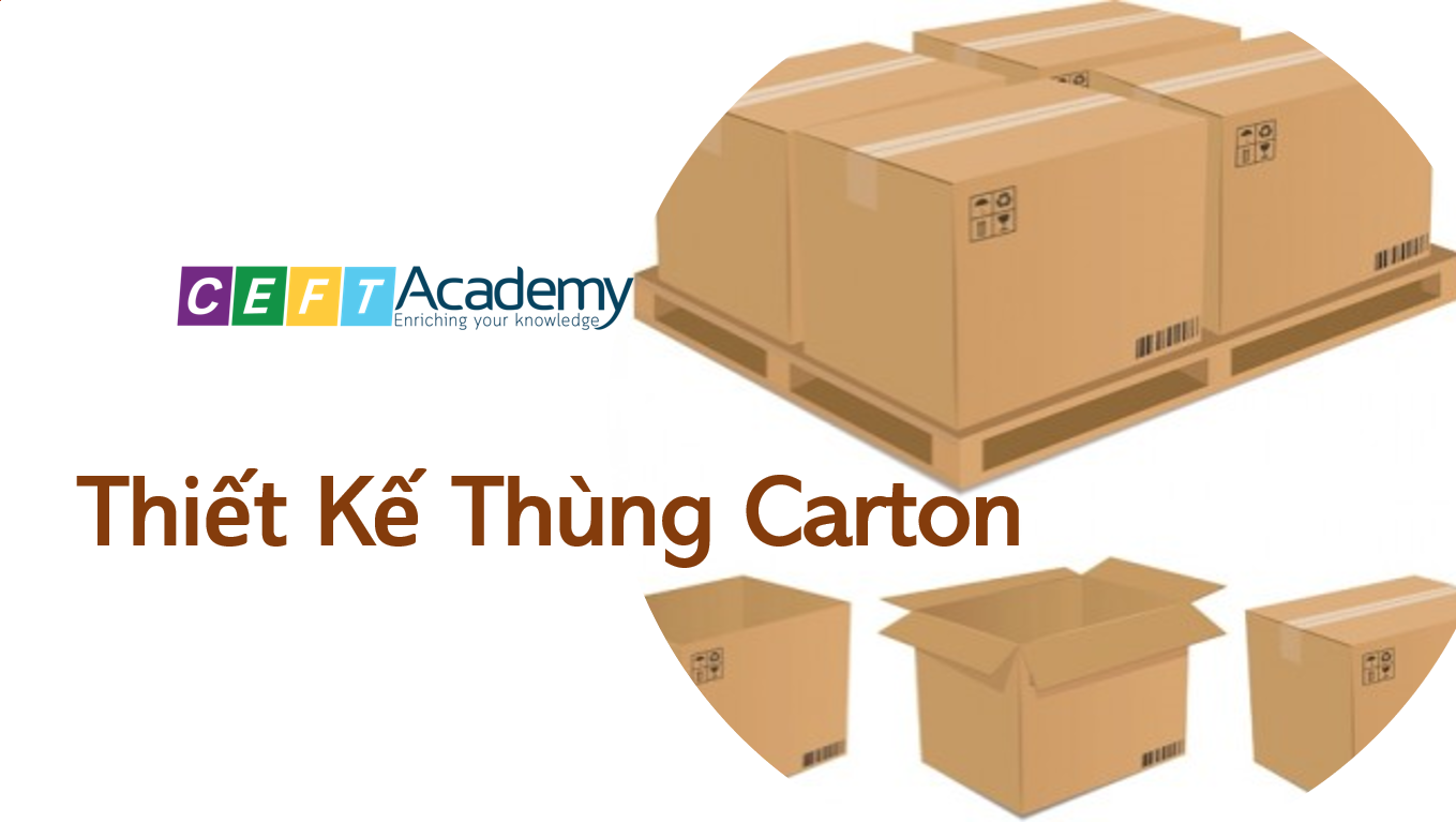 Thiết Kế Thùng Carton