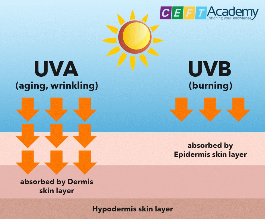 Tia UVA và UVB khác gì nhau?