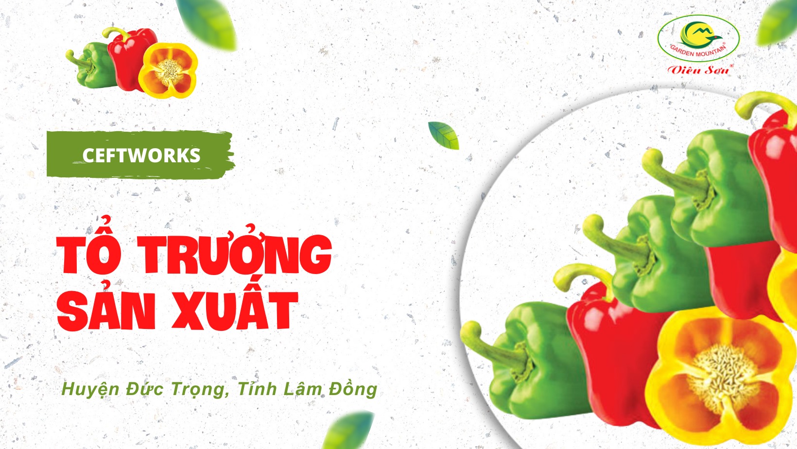 Tổ trưởng sản xuất (Lâm Đồng)