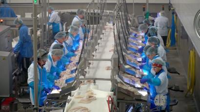 Regional Sales Manager Fish-Vietnam