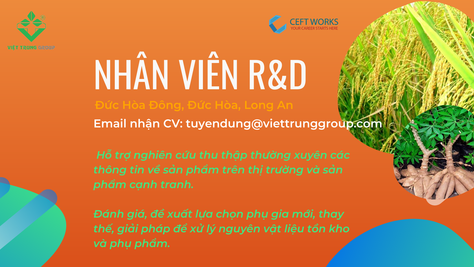 Nhân viên R&D (Long An)