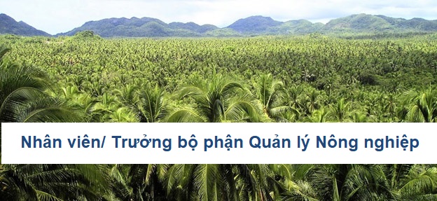 Nhân viên/ Trưởng bộ phận Quản lý Nông nghiệp