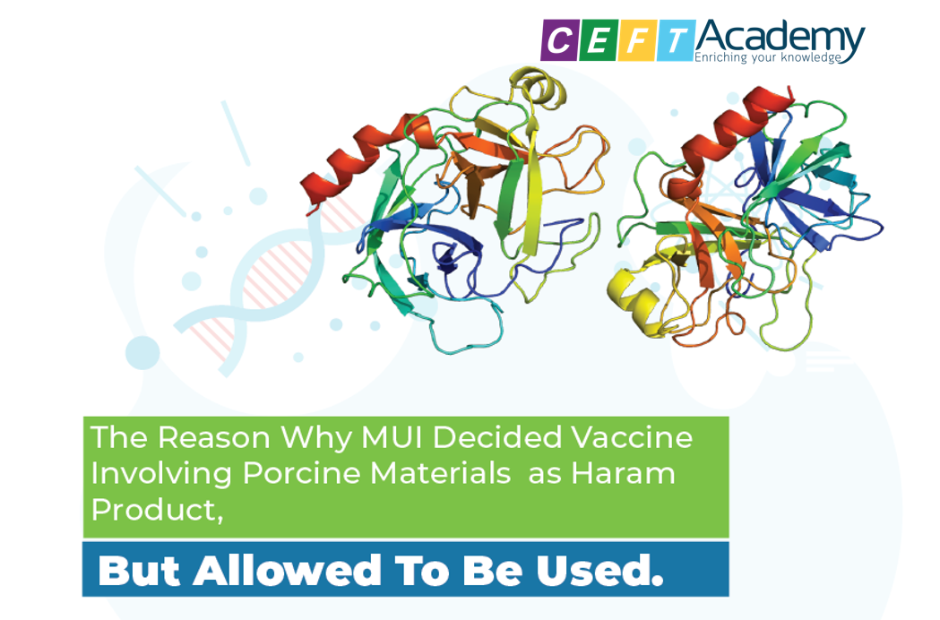 TẠI SAO NGƯỜI HỒI GIÁO CÓ THỂ TIÊM VACCINE COVID-19