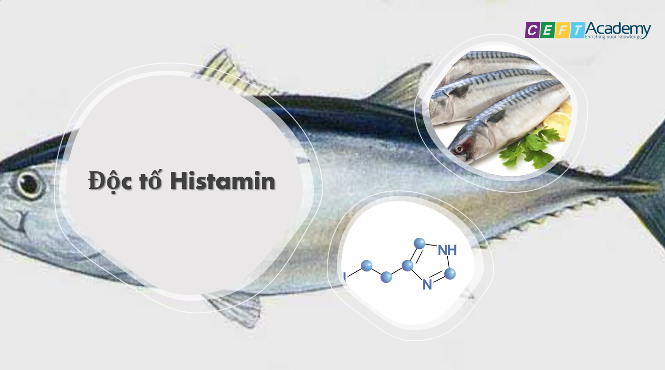 Histamine & Độc tố Histamin