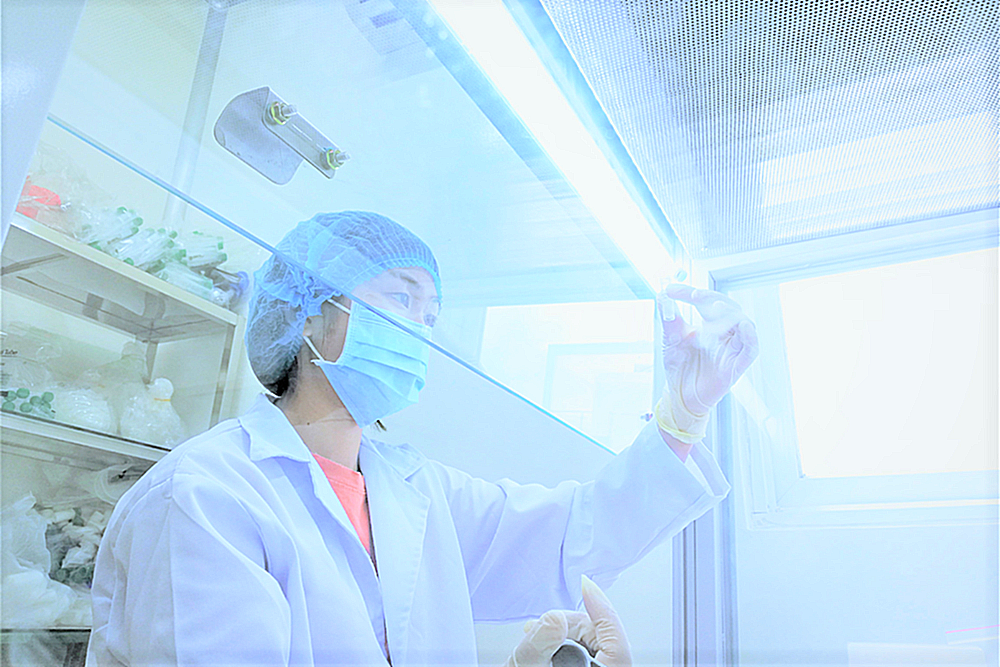 Nhân viên R&D (Bình Chánh)