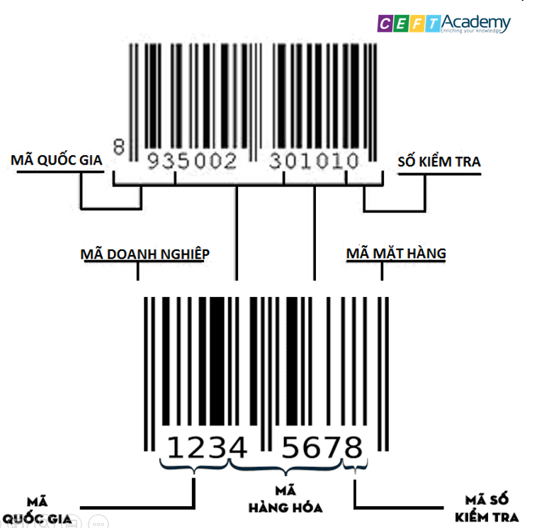 MÃ SỐ MÃ VẠCH
