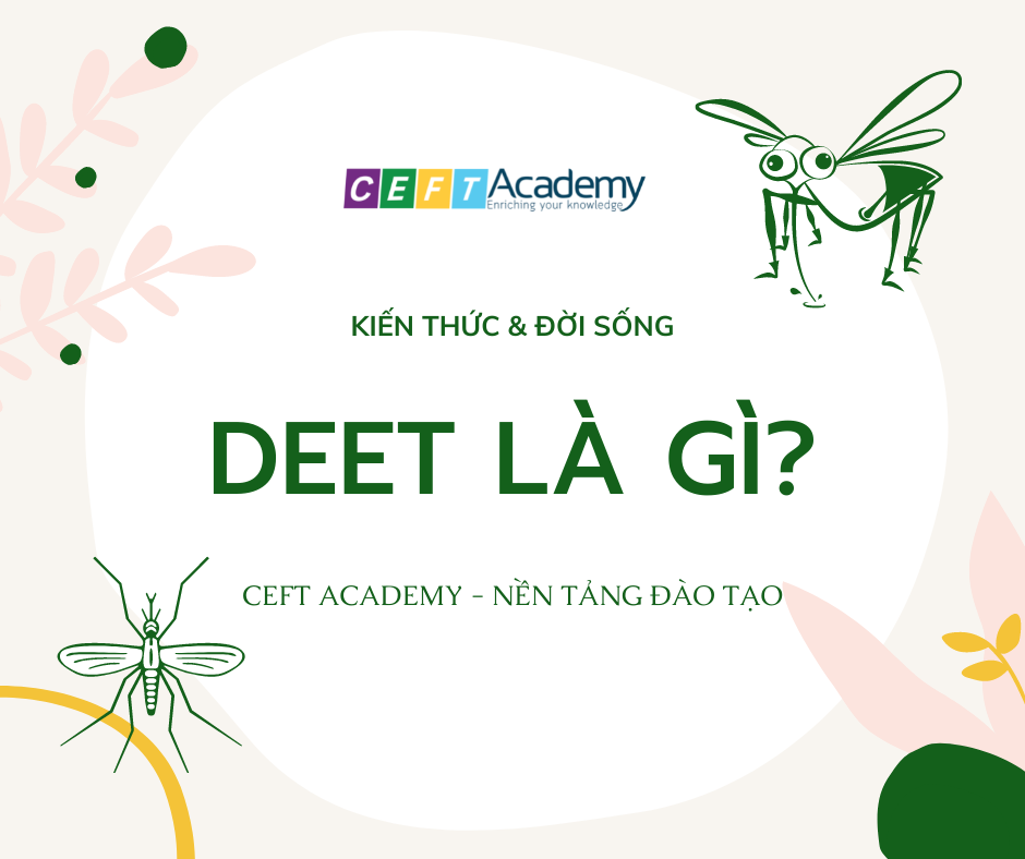 DEET LÀ GÌ?