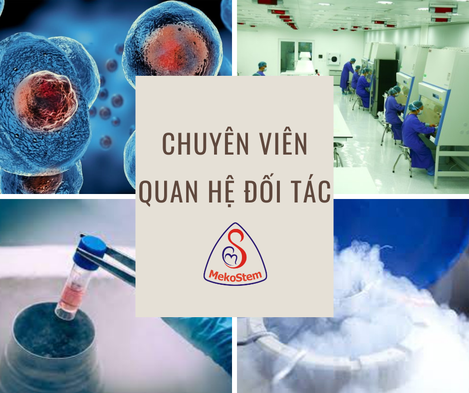 CHUYÊN VIÊN QUAN HỆ ĐỐI TÁC (Quận 11)
