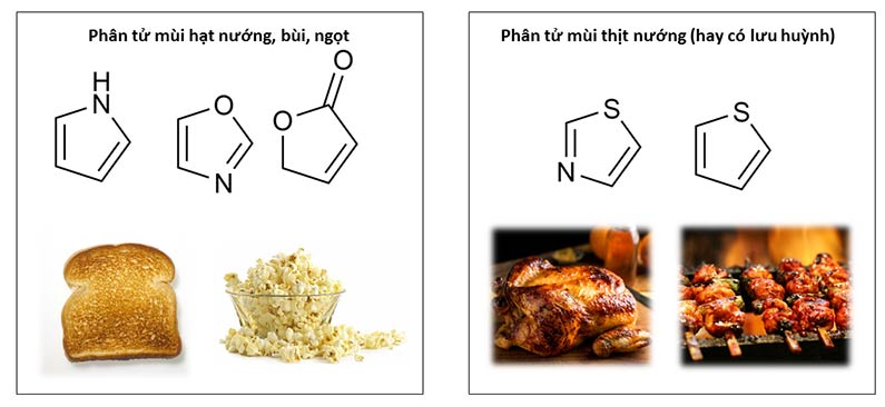 Đòi lại công bằng cho Phản Ứng Maillard