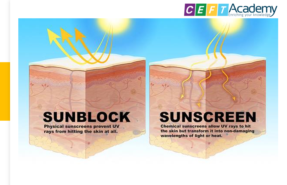 Bài 1: HIỂU VỀ CƠ CHẾ CỦA KEM CHỐNG NẮNG VÀ PHÂN LOẠI ĐÚNG