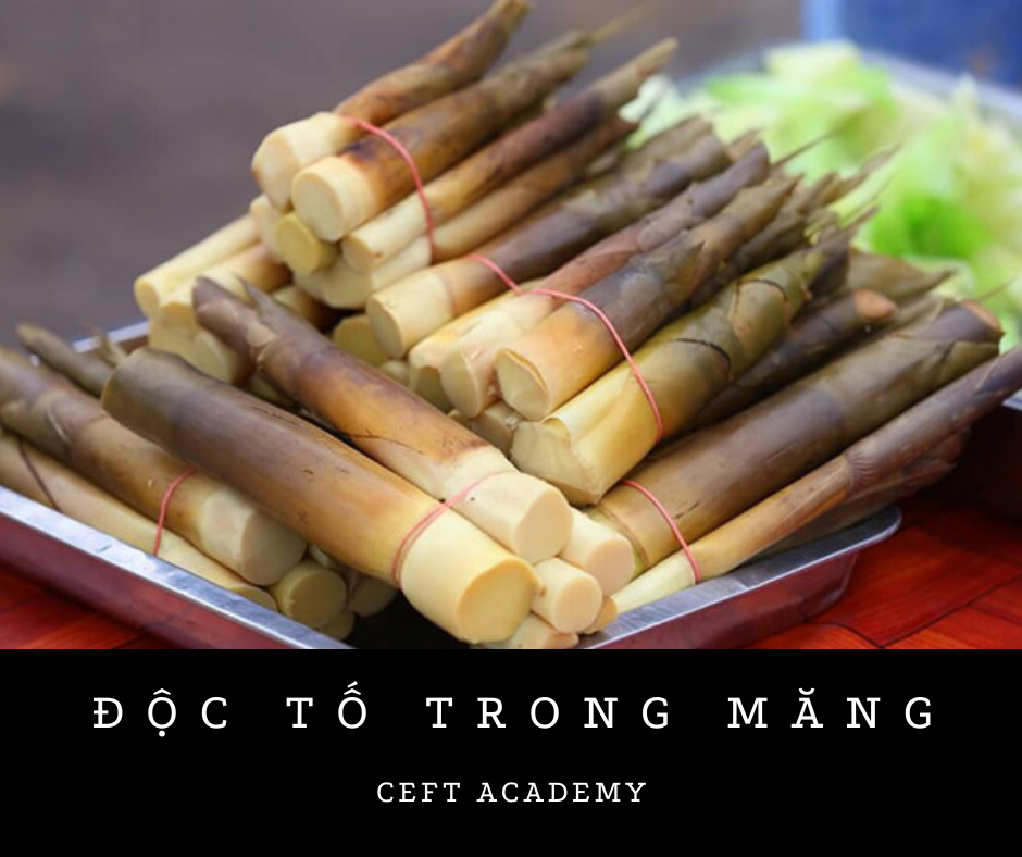 ĐỘC TỐ TRONG MĂNG