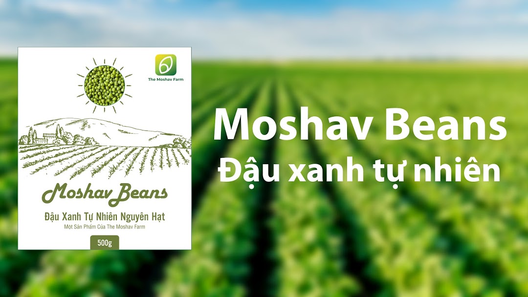 Quản Lý Sản Xuất (Khánh Hòa)